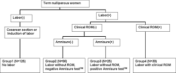 Image result for AmniSure ROM Test