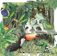 Photographic information cards for animals of south america: Rainforest Illustration By Alan Baker