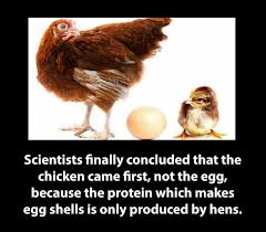 Which Came First Th Chicken Or The Egg Well Now We Know For Sure Which One First They Came Egg Facts Weird World