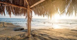 The teams software doesn't let you add your own images for use as virtual backgrounds by default. 67 Zoom Virtual Backgrounds Fetch Great Quotes