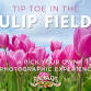 Tulip Fest - w/Cut Your Own Fields