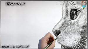 pin na doske animal drawing
