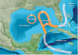Brine pools, on one hand, provide the basis for life through chemosynthesis for creatures living near them on the bottom of the ocean. 1 Introduction Understanding And Predicting The Gulf Of Mexico Loop Current Critical Gaps And Recommendations The National Academies Press