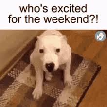 Almost The Weekend Gifs Tenor