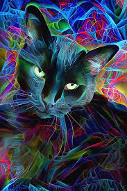 Psychedelic Black Cat Fractal By Peggy Collins In 2020 Black Cat Art Cat Art Colorful Art Prints