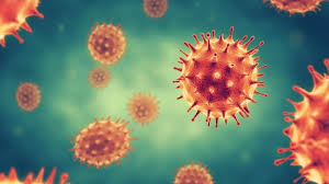 Sinopharm 信達美容供應, cheung sha wan, hong kong. Sinopharm Publishes Positive Data From Phase I Ii Covid 19 Vaccine Study Biospace