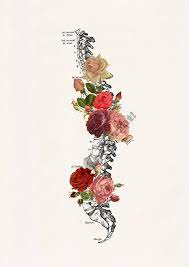 Doctor Gifts Springtime Roses Spine Anatomical Wall Art Etsy Human Anatomy Art Art Anatomy Art