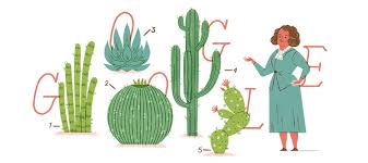 Google pone en foco a Helia Bravo Hollis, la primera bióloga mexicana