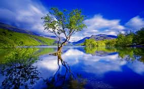 Check spelling or type a new query. Free Photo Tree Reflection Lake Lonely Mirror Free Download Jooinn