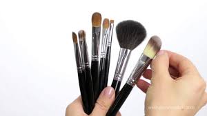 vegan makeup brushes apply your