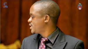 Deputy Mayor Mlandu...