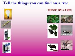 So every good tree bears good fruit, but the bad tree bears bad fruit. A Little Bird Sees Ripe Fruit On Our