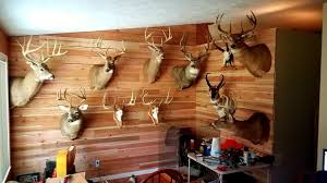 We did not find results for: Let S See Your Trophy Room Man Cave Page 5 Hunt Talk