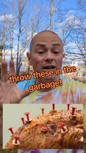 Turkey timers are inaccurate and fire the trash. A meat thermometer is one  of those tools that will change your life! #turkey #meatthermometer  #thanksgivingdinner #homecook