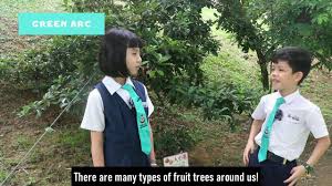 Saluran rasmi telegram sjkc foon yew 5. Low Carbon Lifestyle In Sjkc Foon Yew 2 Youtube