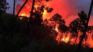 Jun 02, 2021 · incendio distrugge parte della copertura di un capannone a pontedera. Ni9lmrjhhq1e1m