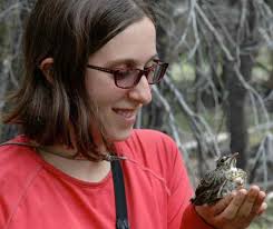 The fledgling problem