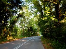 Από τις πολλές και ωραίες περιοχές της βόρειας εύβοιας. Wikiloc Photo De Boreia Eyboia Prokopi Agia Anna Podhlatikh 1 6