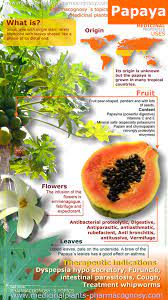 Maybe you would like to learn more about one of these? Papaya Enzyme Benefits Hrf