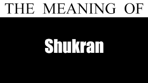Shukran Meant To Be Arabic Phrases Words