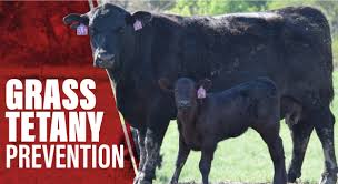 Image result for Tetany