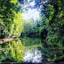 Der englische garten gehört weltweit zu den größten innerstädtischen parks und ist sogar größer als der central park in new york: Romantisch Englischer Garten Nordteil Hurra Draussen