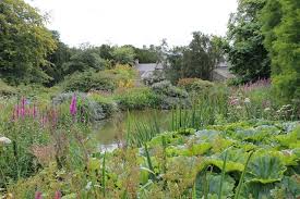Howick Hall Gardens Bog Garden Home Landscaping Pond Plants