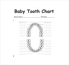 Baby Tooth Chart Letters Tooth Chart Baby Teething