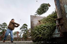 Check spelling or type a new query. How To Recycle Your Christmas Tree The New York Times