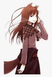 Spice And Wolf Png Free Download Spice And Wolf Vol 4 Light Novel Book Transparent Png 707x1128 Free Download On Nicepng