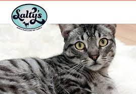 Get reviews, hours, directions, coupons and more for salty's pet supply at 4039 n mississippi ave, portland, or 97227. A Wordsmith Portland Pr Communications