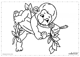 Dibujos De Monos Para Colorear