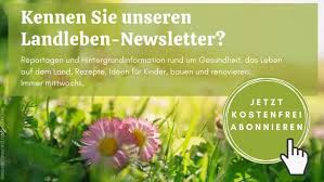 Metamizol Vorsicht Geboten