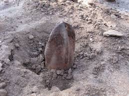 Image result for Hydnora abyssinica