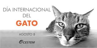 De la sierra de 8 a 12 horas hospital de leandro n. Cestem On Twitter Sabias Que El Gato Tiene 3 Celebraciones En El Ano 20 De Febrero Se Conmemora La Muerte Del Gato Presidencial Socks Clinton 8 De Agosto Establecido Por El Ifaw