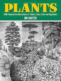 Check spelling or type a new query. Free Vintage Embroidery Designs Free Embroidery Patterns