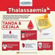 Kata eritrosit mulanya asalnya dari bahasa yunani yakni erythos yang artinya merah dan kytos yang artinya darah. Talasemia Penyakit Genetik Sel Darah Merah Apa Yang Ibu Bapa Harus Lakukan Sekirannya Anak Talasemia July 2021 Kelabmama Malaysia