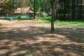 L b s artikel bertopik telekomunikasi ini adalah sebuah rintisan. Taman Hewan Perbaungan Kebun Binatang R Zoo Park Perbaungan Youtube Taman Bunga Yang Bisa Menjadi Referensi Liburanmu Jika Bosan Ke Gunung Ataupun Pantai Bobi Baswara