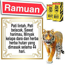 Mohon dikoreksi apabila terdapat kesalahan. Minyak Raja Harimau Original Hq 100 Lazada