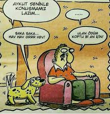 Hasan Mutaf Adli Kullanicinin Karikatur Panosundaki Pin Karikatur Mizah Komik