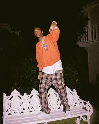 Playboi Carti Asap Mob Vlone Kid Cudi Vlone Clothing Vintage Street Fashion Hip Hop Art