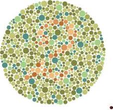 Color Blind Test