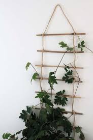 Diy Indoor Plant Trellis From Bamboo Rope Dossier Blog Trellis Plants Indoor Plant Trellis Indoor Climbing Plants