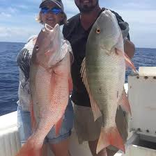 They average less then 4 pounds and are great eating and fighting fish. Snapper Fishing Key West Fishing