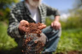 Check spelling or type a new query. How To Organically Raise Ph In Soil Kellogg Garden Organics