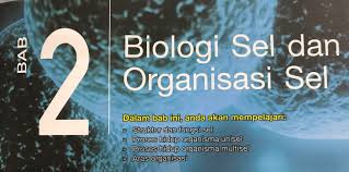 Maybe you would like to learn more about one of these? Bab 2 Biologi Sel Dan Organisasi Sel Quiz Quizizz
