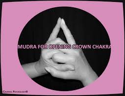 Sacral chakra what are chakras? Spiritual Wellness And The Seven Chakras News Illinois State