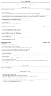 services developer resume sample