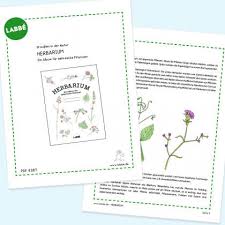 Bunte blätter, kinder beim drachensteigen lassen und süße igel warten darauf von ihren kindern ausgemalt zu werden. Herbarium Pdf Labbe