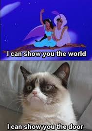 Not Going Back To Disney World Funny Grumpy Cat Memes Grumpy Cat Quotes Grumpy Cat Humor